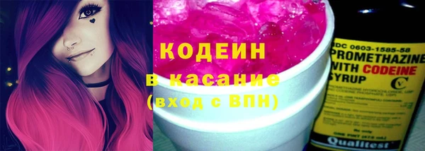 трава Няндома