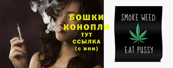 трава Няндома
