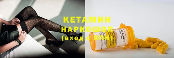 трава Няндома
