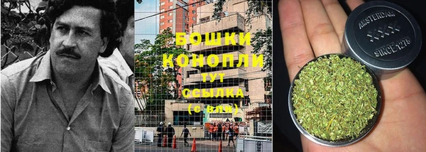 круглые Нягань