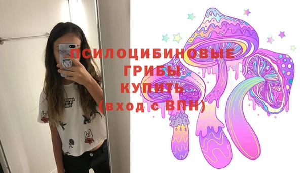 крисы Нязепетровск