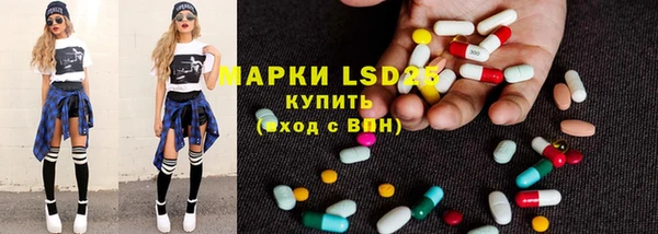 трава Няндома