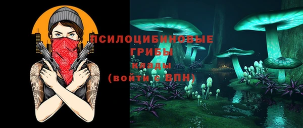 крисы Нязепетровск