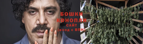 трава Няндома