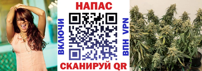 магазин продажи наркотиков  Ядрин  МАРИХУАНА OG Kush 